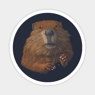 Beaver Magnet